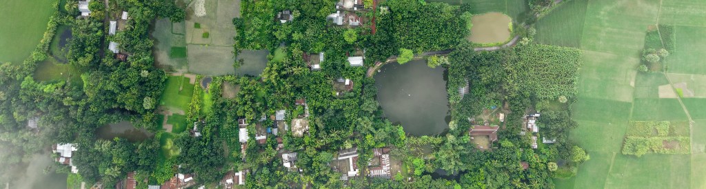 aerial